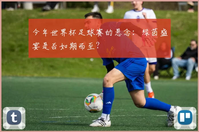今年世界杯足球赛的悬念：绿茵盛宴是否如期而至？