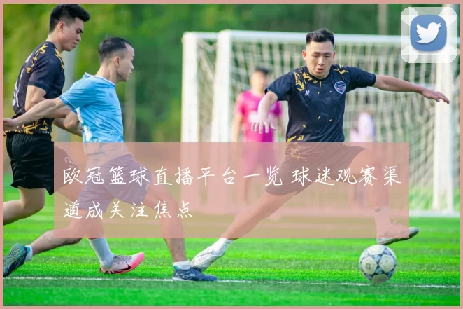 欧冠篮球直播平台一览 球迷观赛渠道成关注焦点