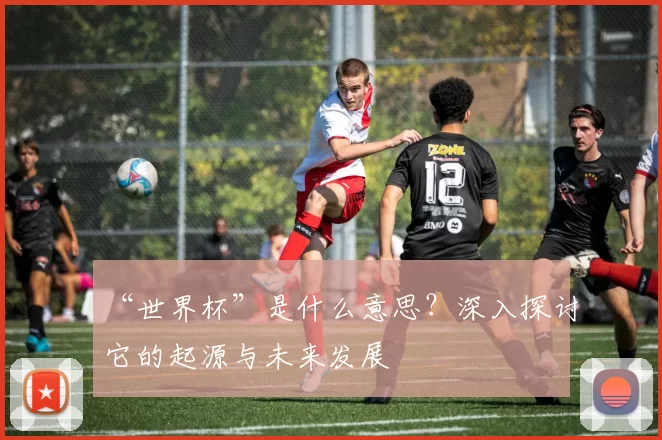 “世界杯”是什么意思?深入探讨它的起源与未来发展