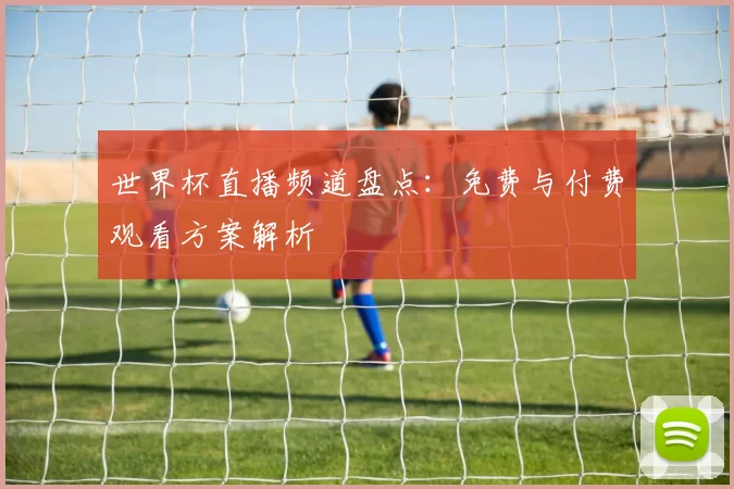 世界杯直播频道盘点：免费与付费观看方案解析
