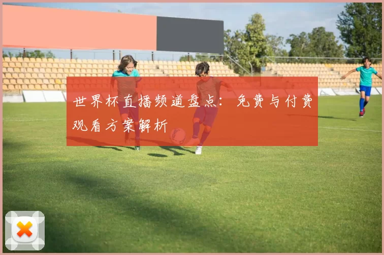 世界杯直播频道盘点：免费与付费观看方案解析
