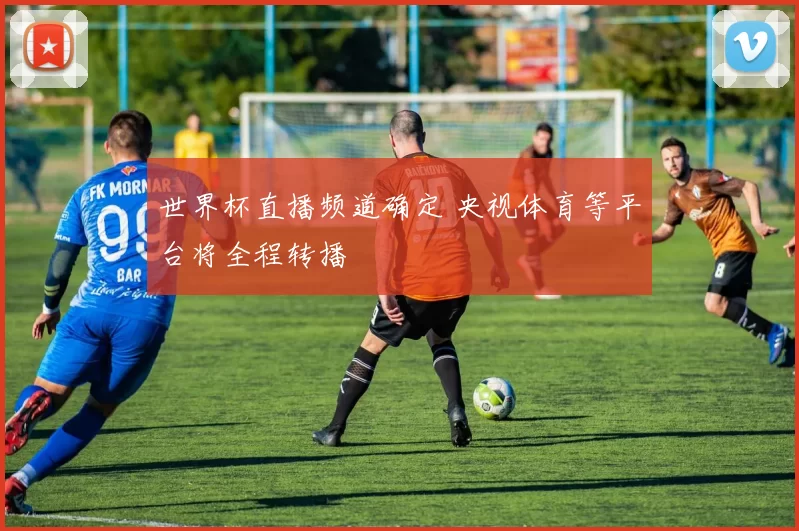 世界杯直播频道确定 央视体育等平台将全程转播