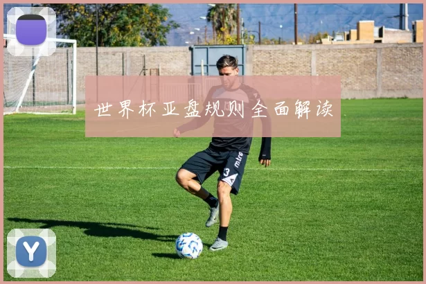 世界杯亚盘规则全面解读