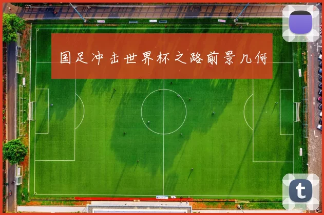 国足冲击世界杯之路前景几何