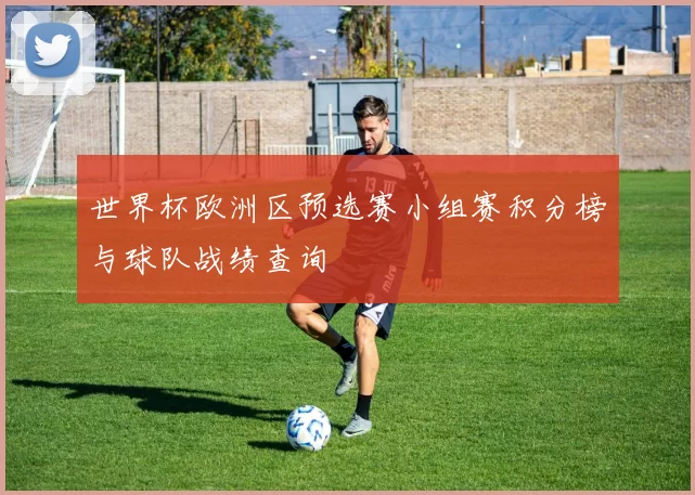 世界杯欧洲区预选赛小组赛积分榜与球队战绩查询