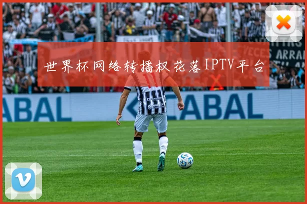 世界杯网络转播权花落IPTV平台