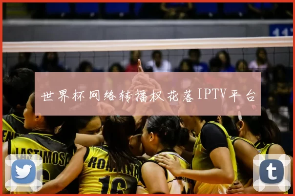世界杯网络转播权花落IPTV平台