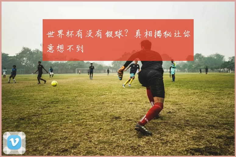 世界杯有没有假球？真相揭秘让你意想不到