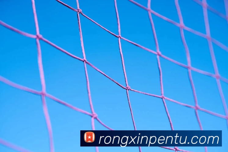 线上买球品牌故事