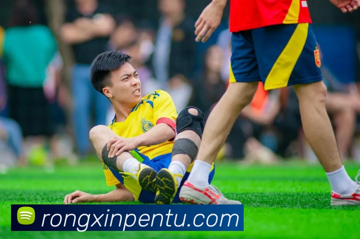 多媒体互动体验